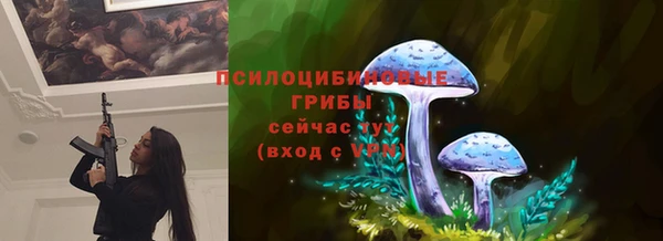 мет Заводоуковск