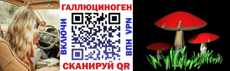 Псилоцибиновые грибы ЛСД  Купить закладки  Острогожск 